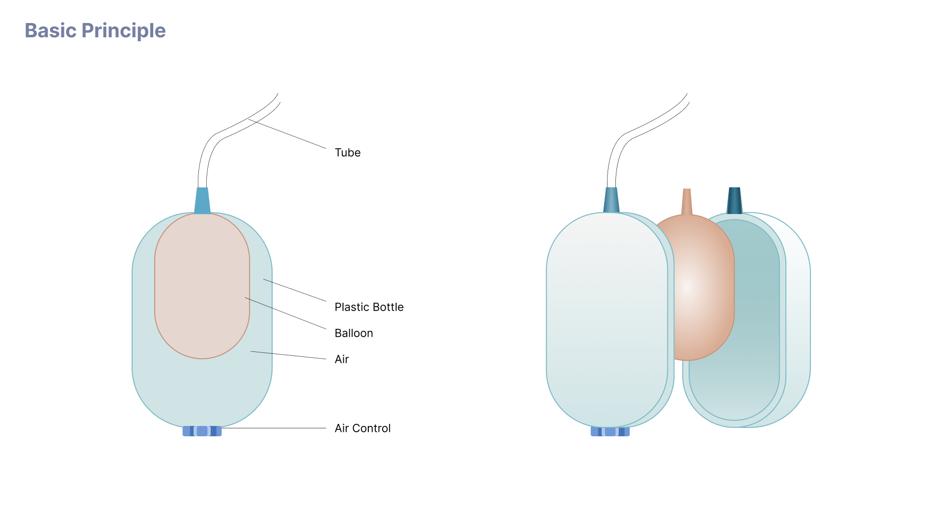 Basic Principle 1