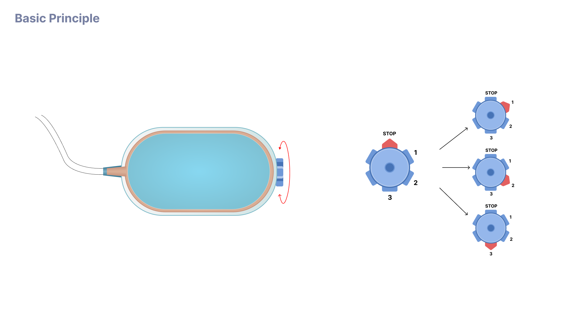 Basic Principle 4